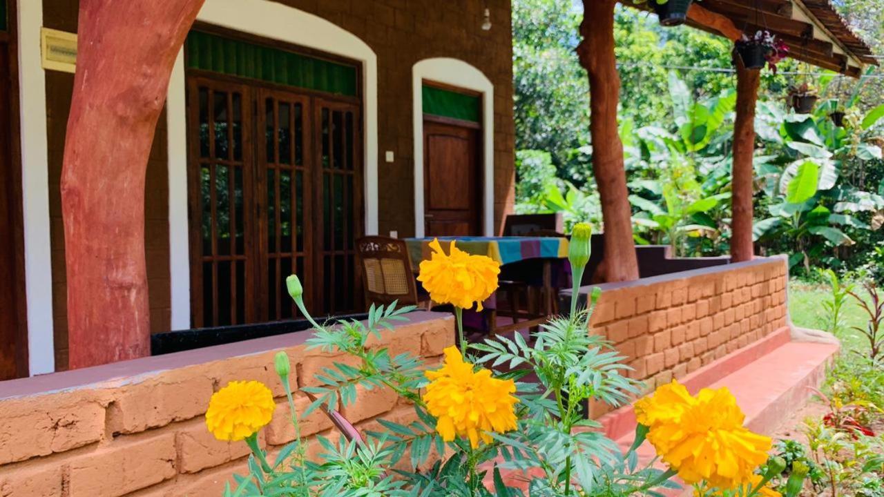 Sigiriya Chena Villa Екстер'єр фото