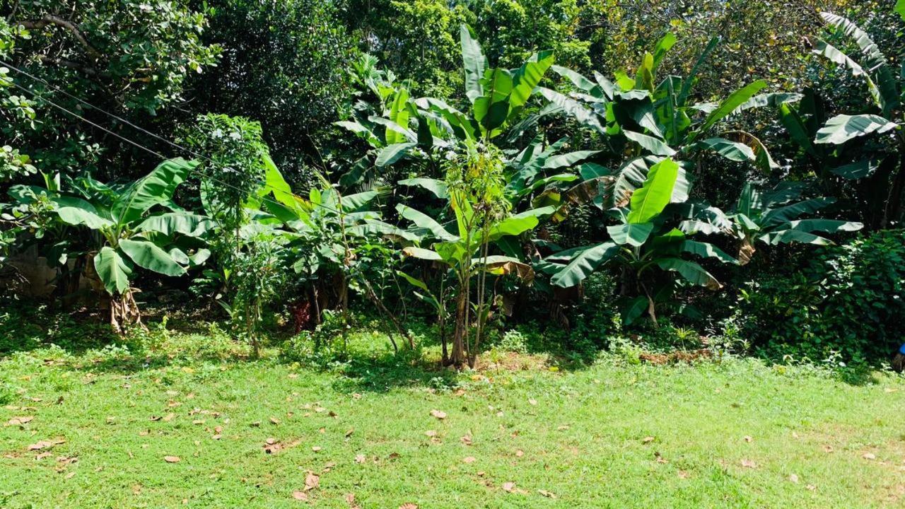 Sigiriya Chena Villa Екстер'єр фото